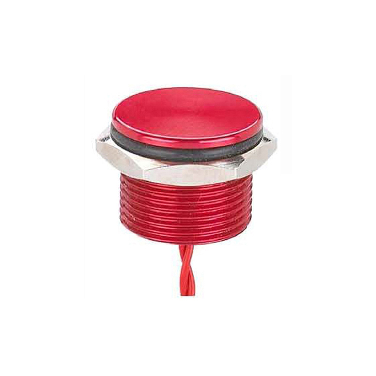 19mm 12 volt led push button switch