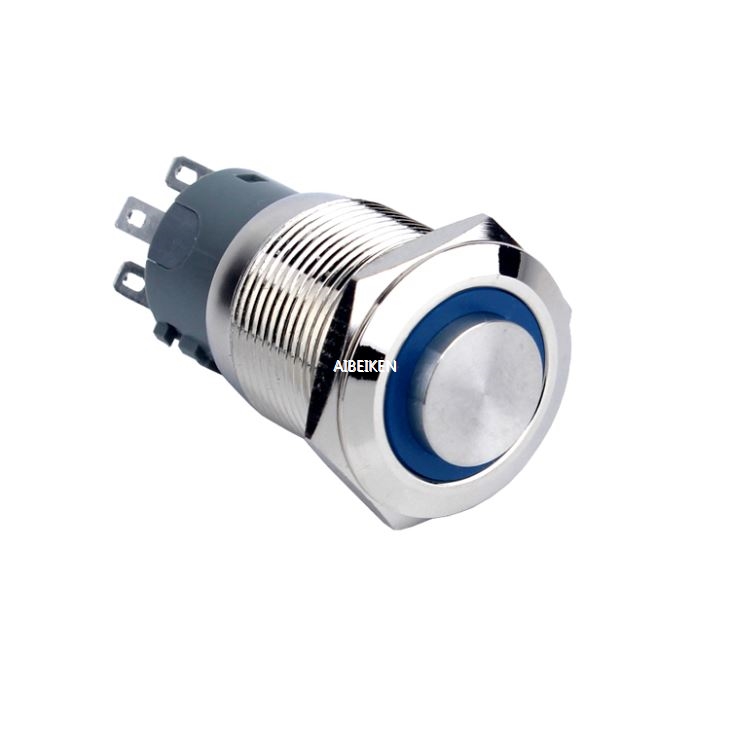 19mm 12V Ring LED Switch Waterproof Push Button