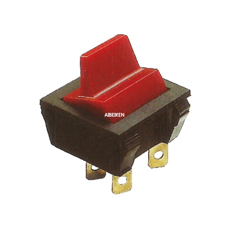 220V Rocker Switch