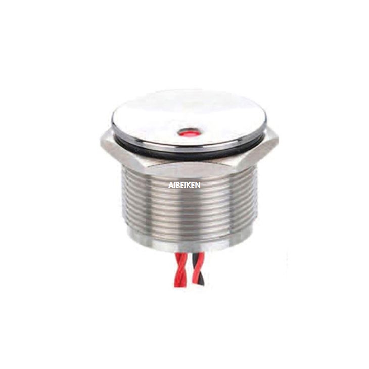 22mm Pushbutton Switch with 3V LED